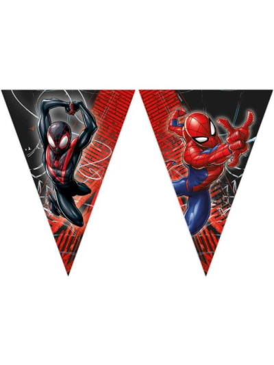SPIDERMAN WORLD OF WEBS PAPER FLAG BANNER